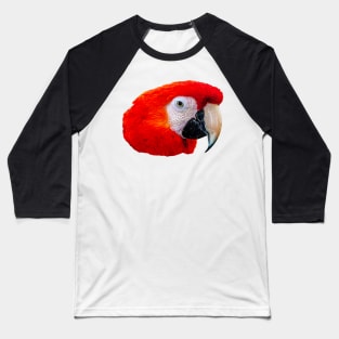 Scarlet Macaw Baseball T-Shirt